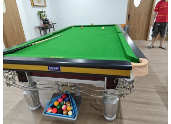 金山公司9新宿舍刚库台球桌